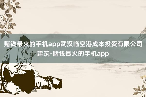 赌钱最火的手机app武汉临空港成本投资有限公司建筑-赌钱最火的手机app