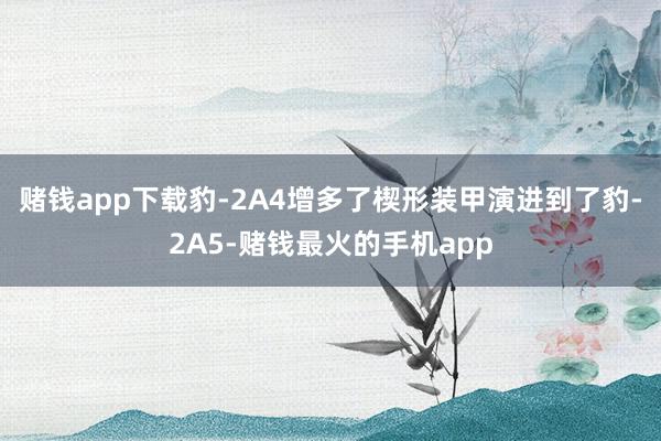 赌钱app下载豹-2A4增多了楔形装甲演进到了豹-2A5-赌钱最火的手机app