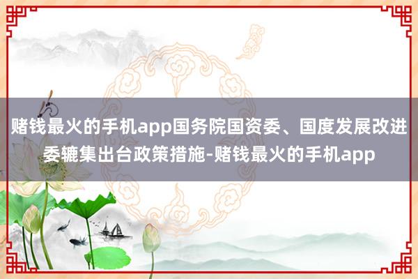 赌钱最火的手机app国务院国资委、国度发展改进委辘集出台政策措施-赌钱最火的手机app