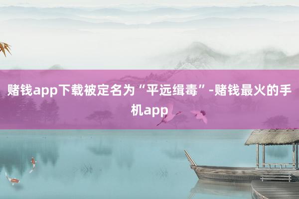 赌钱app下载被定名为“平远缉毒”-赌钱最火的手机app