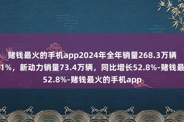 赌钱最火的手机app2024年全年销量268.3万辆，同比增长5.1%，新动力销量73.4万辆，同比增长52.8%-赌钱最火的手机app