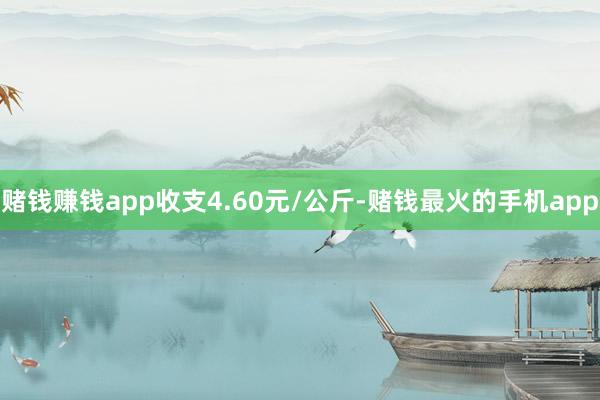 赌钱赚钱app收支4.60元/公斤-赌钱最火的手机app