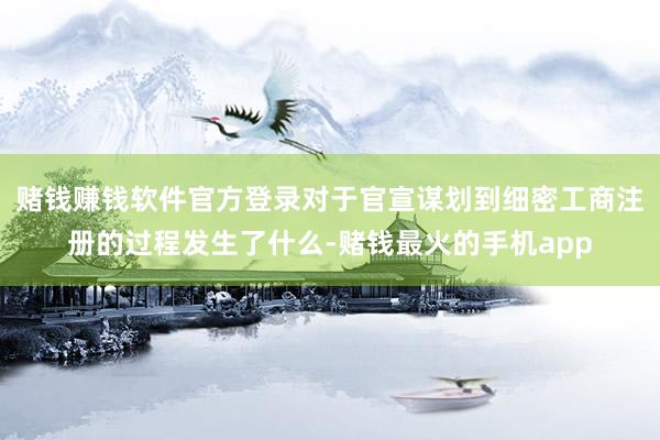 赌钱赚钱软件官方登录对于官宣谋划到细密工商注册的过程发生了什么-赌钱最火的手机app