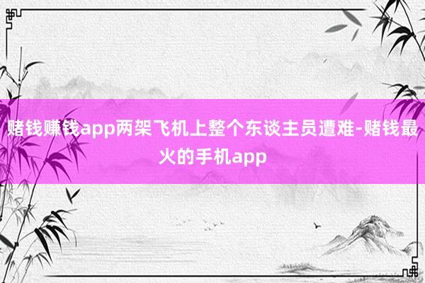 赌钱赚钱app两架飞机上整个东谈主员遭难-赌钱最火的手机app