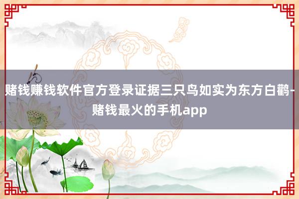 赌钱赚钱软件官方登录证据三只鸟如实为东方白鹳-赌钱最火的手机app