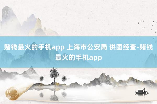 赌钱最火的手机app 上海市公安局 供图经查-赌钱最火的手机app