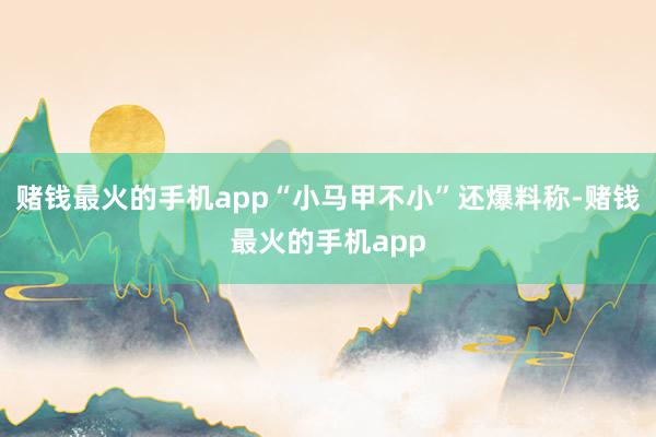 赌钱最火的手机app“小马甲不小”还爆料称-赌钱最火的手机app