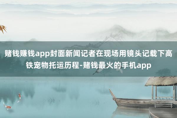 赌钱赚钱app封面新闻记者在现场用镜头记载下高铁宠物托运历程-赌钱最火的手机app