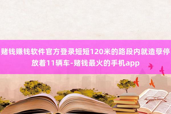 赌钱赚钱软件官方登录短短120米的路段内就造孽停放着11辆车-赌钱最火的手机app