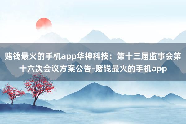 赌钱最火的手机app华神科技：第十三届监事会第十六次会议方案公告-赌钱最火的手机app