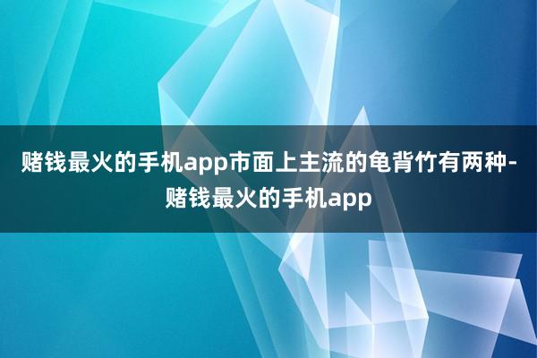 赌钱最火的手机app市面上主流的龟背竹有两种-赌钱最火的手机app