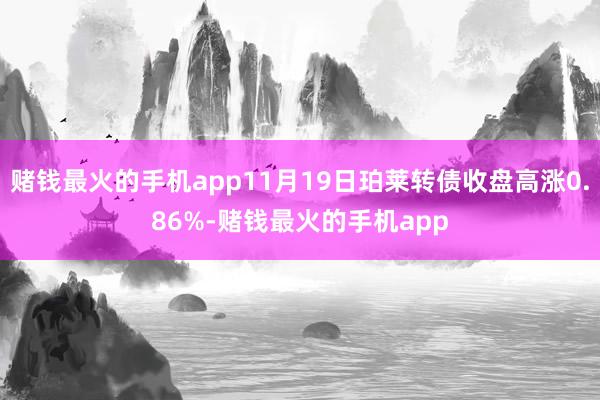 赌钱最火的手机app11月19日珀莱转债收盘高涨0.86%-赌钱最火的手机app
