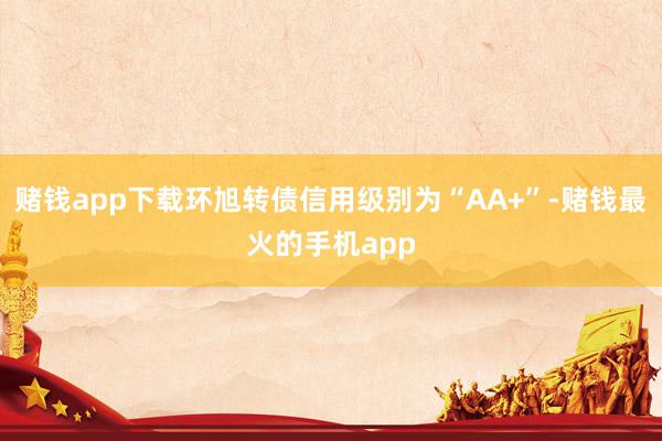 赌钱app下载环旭转债信用级别为“AA+”-赌钱最火的手机app