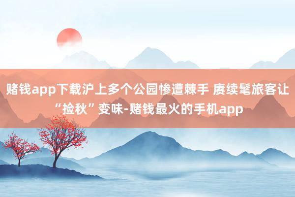 赌钱app下载沪上多个公园惨遭棘手 赓续髦旅客让“捡秋”变味-赌钱最火的手机app